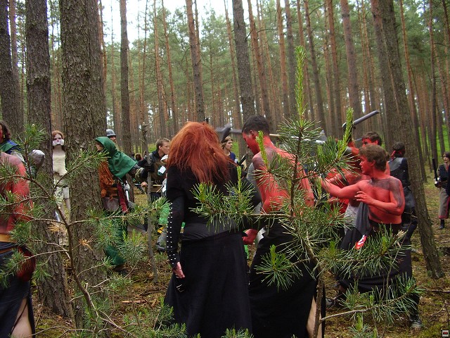 img00029.jpg