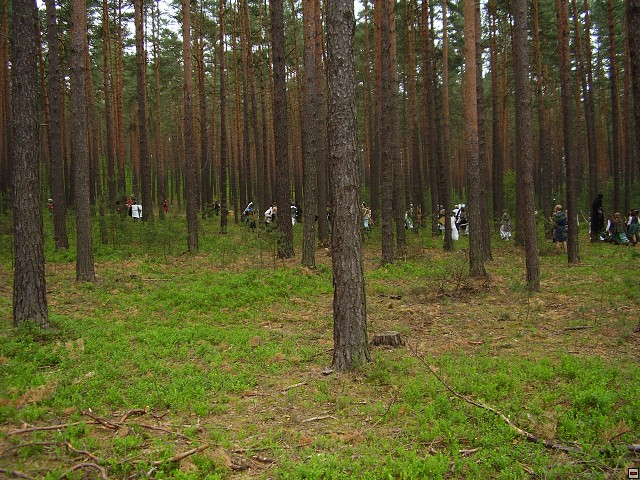 img00099.jpg