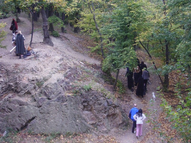 img00013.jpg