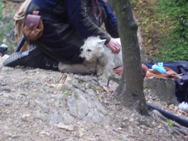 img00045.jpg