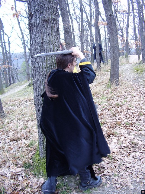 img00109.jpg