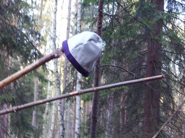 img00006.jpg