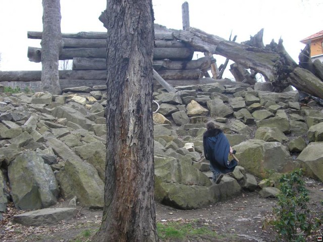 img00039.jpg