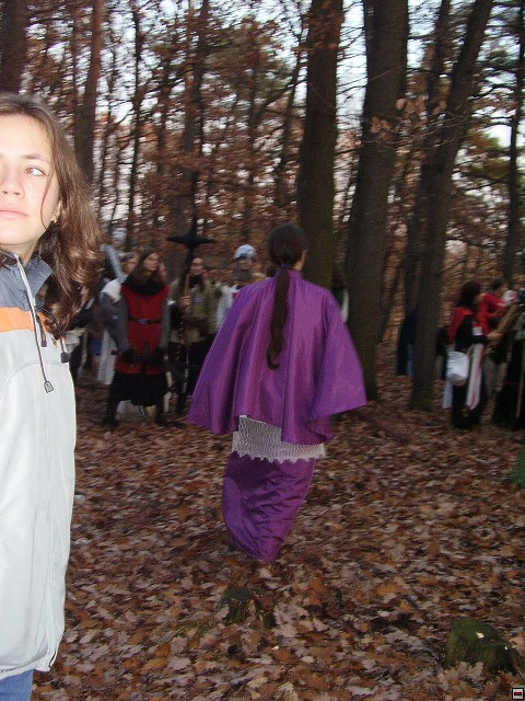 img00098.jpg
